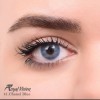 لنز شماره 41 مدل Chanel Blue رویال ویژن